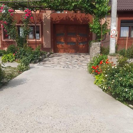 Готель Casa Elena Єшелніца Екстер'єр фото